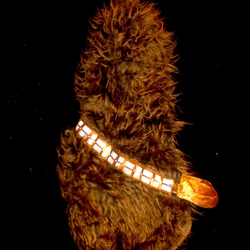 Chewy costume